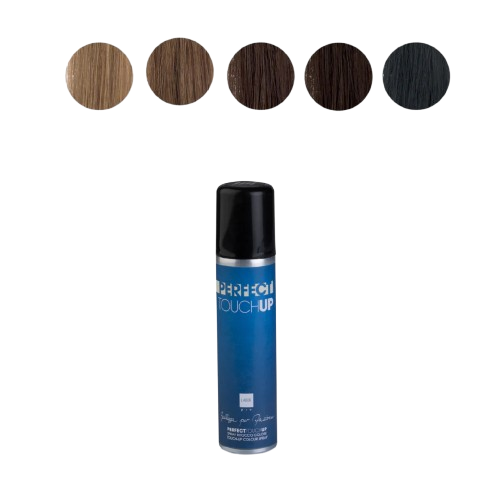 SPRAY RITOCCO RICRESCITA