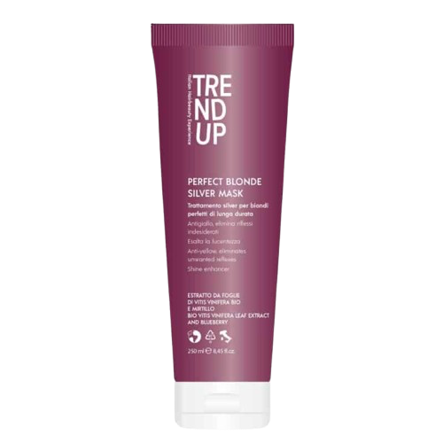 MASK PERFECT BLONDE SILVER TREND UP